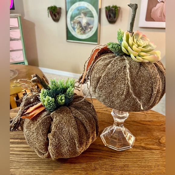 Set of 2 Handmade Succulent Chenille Fall Pumpkins - Fabric Fall Pumpkins - Boho - Picture 1 of 14